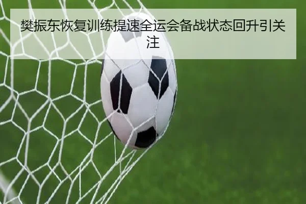 樊振东恢复训练提速全运会备战状态回升引关注